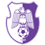 FC Argeş FO4 Team
