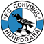 FC Corvinul 1921 Hunedoara FO4 Team
