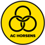 AC Horsens FO4 Team