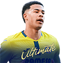 FO4 Player - S. Mouriño