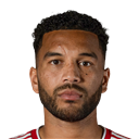 FO4 Player - Adrian Mariappa