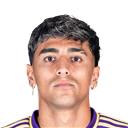 F. Torres - FO4 Player FO4 Player - F. Torres