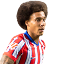 FO4 Player - A. Witsel