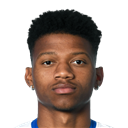 Stéphane Cueni - FO4 Player FO4 Player - Stéphane Cueni