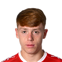 M. Heule - FO4 Player FO4 Player - M. Heule