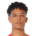 L. Antonetti - FO4 Player FO4 Player - L. Antonetti