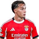 FO4 Player - A. Dedić