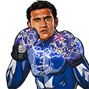 FO4 Player - Tim Cahill