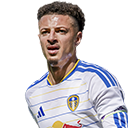 FO4 Player - E. Ampadu