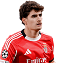 FO4 Player - António Silva